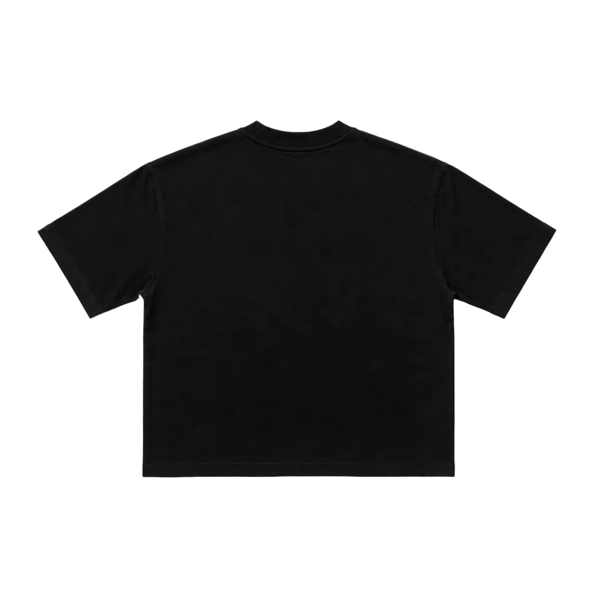 PROJEXT ALLURE Flag Tee
